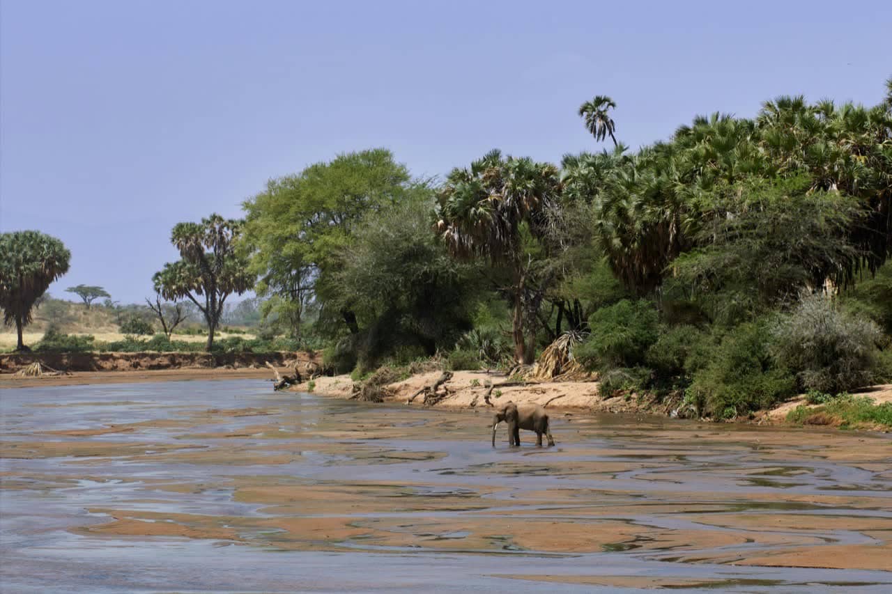 Nyerere (Selous) National Park