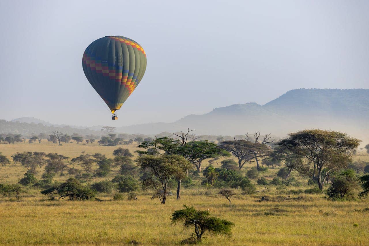 Hot air balloon floating over the Serengeti plains at sunrise with wildebeest below