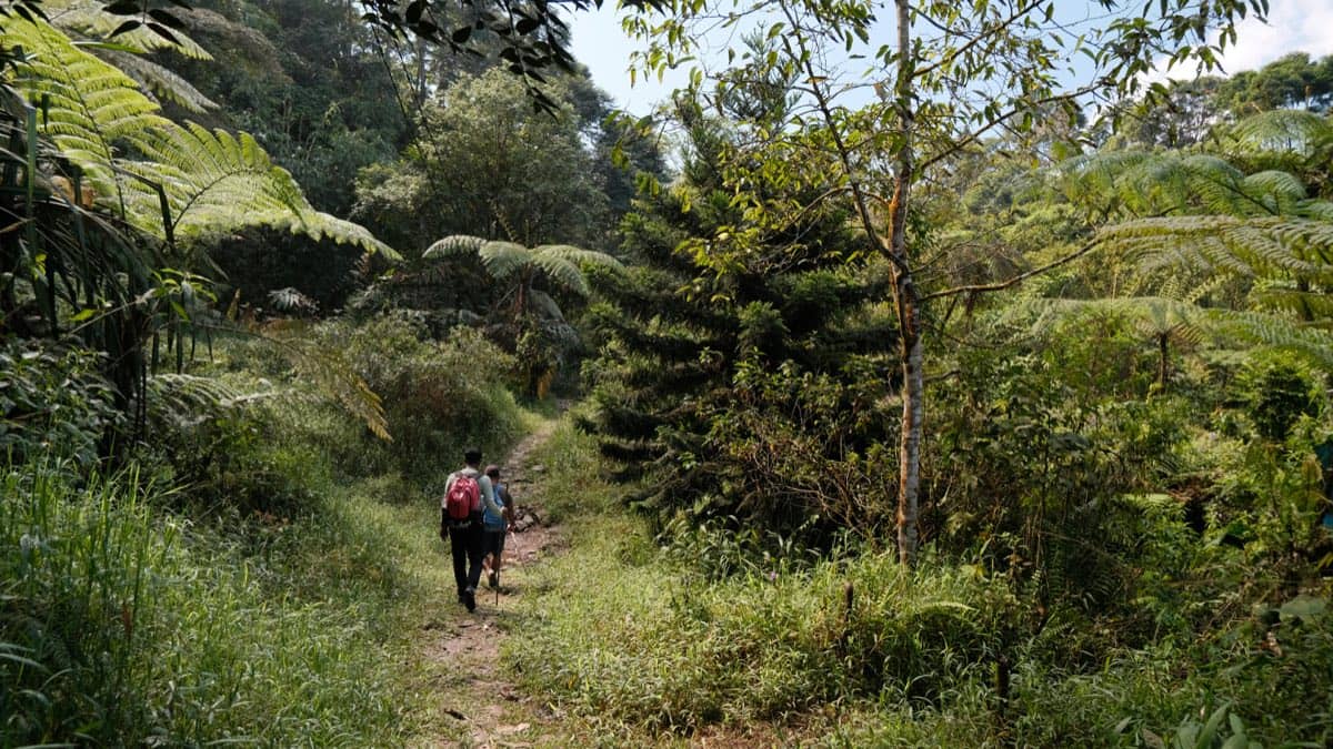 Bwindi Impenetrable National Park