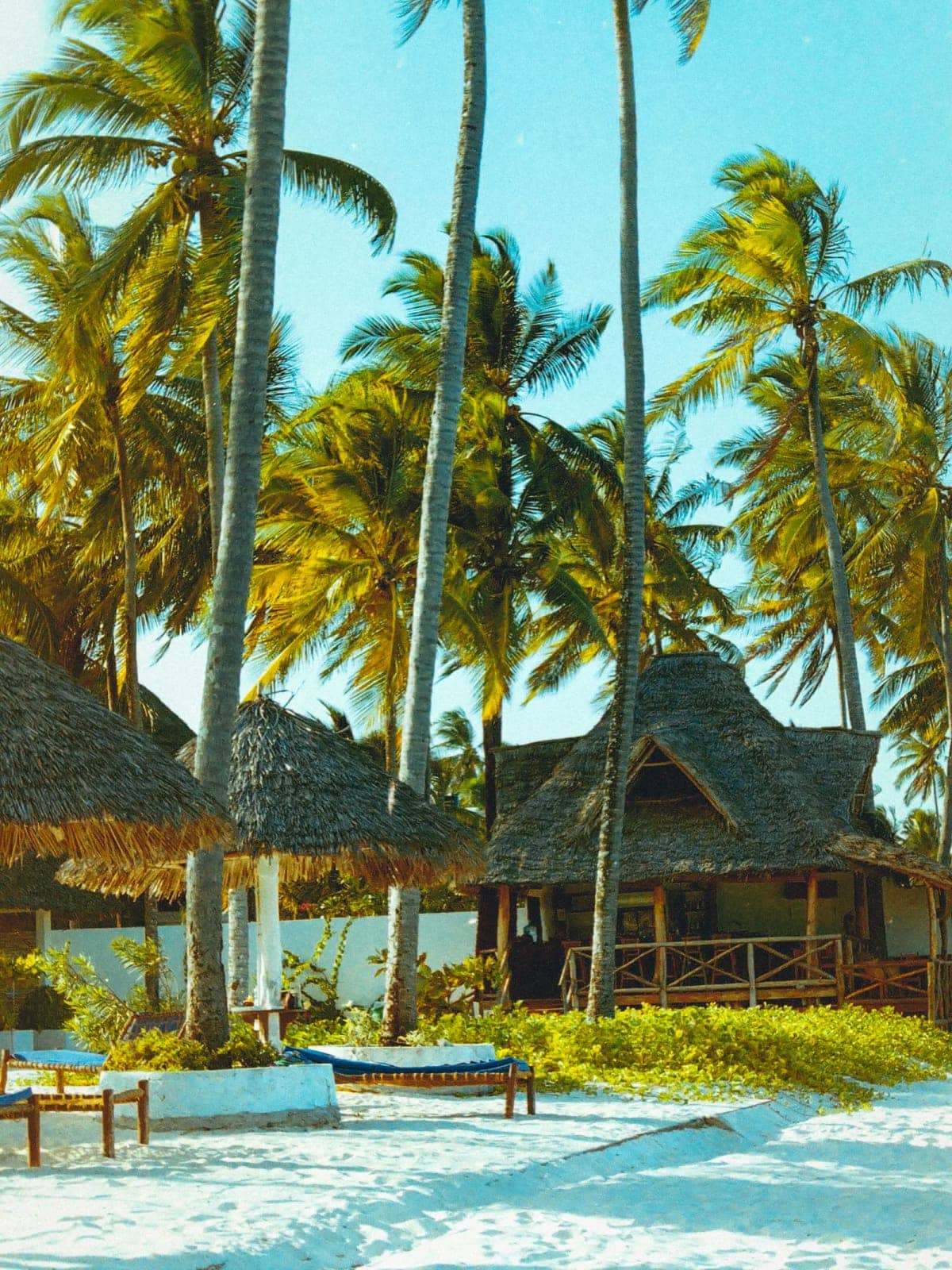 Zanzibar beach resort with palm trees and traditional huts
