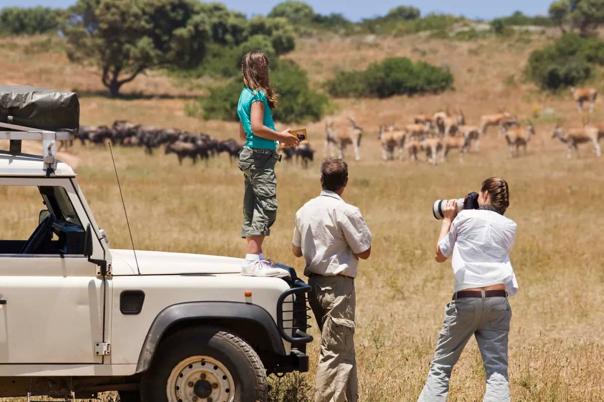 Family on a Tanzania safari: a child stands on the 4x4 while parents photograph a herd of antelope