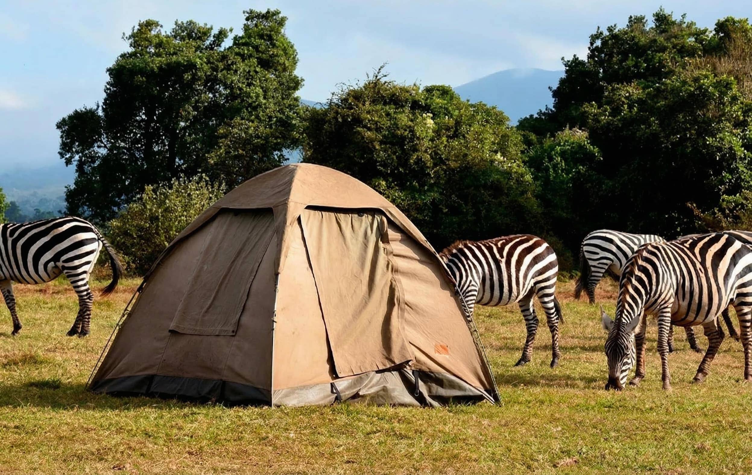 Campfire dining under stars in Tanzania