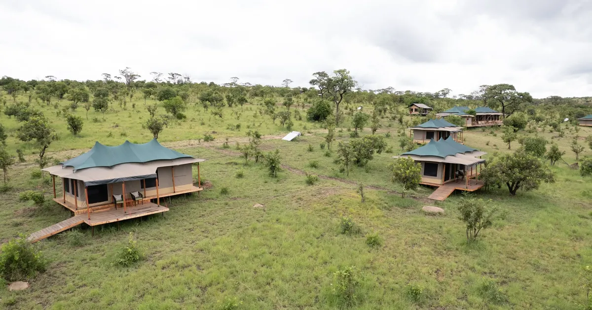 Api Mara Baobab Mara Luxury Camp | Northern Serengeti Migration Safari